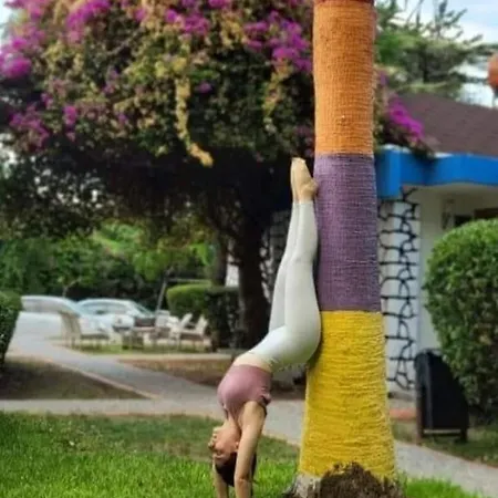 Cetinel Готель 4*