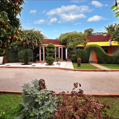 Готель Cetinel