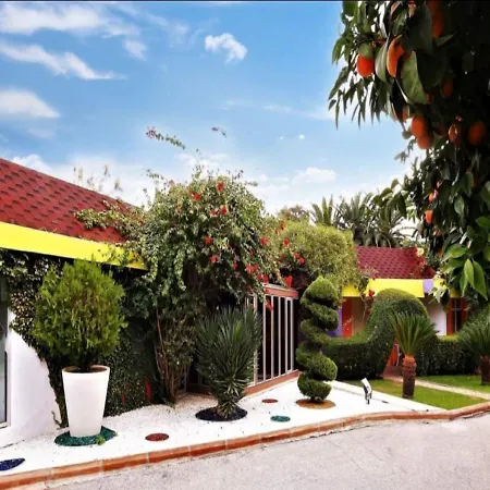 Otel çetinel