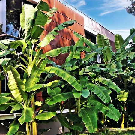 Готель Cetinel 4*