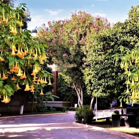 Cetinel 4* Адана