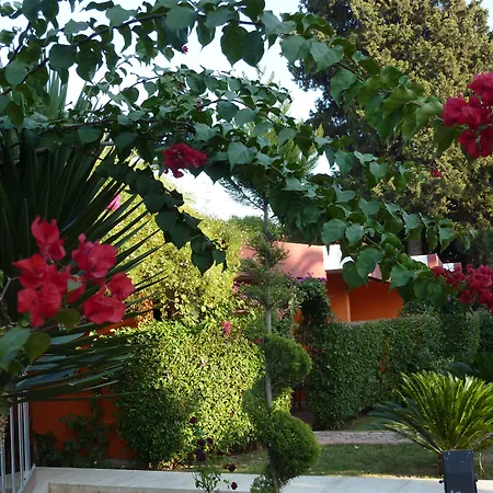 Cetinel 아다나