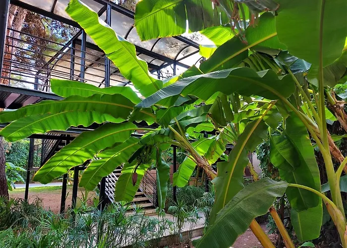 Cetinel Готель