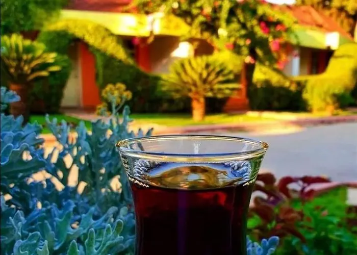 Готель Cetinel Адана