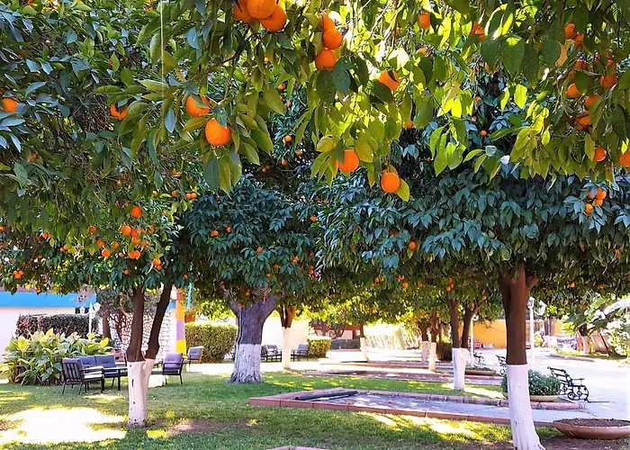Готель Cetinel Адана