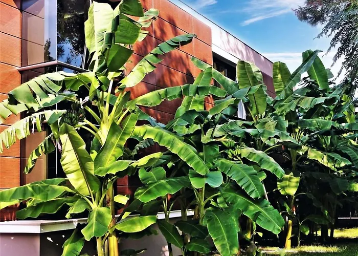 Готель Cetinel 4*