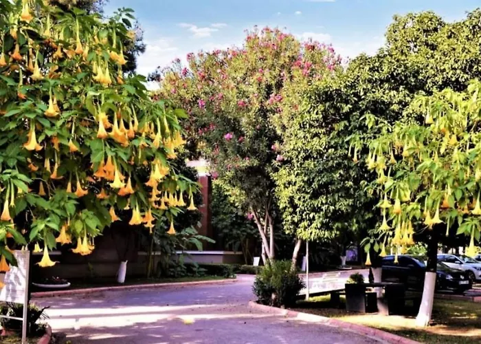 Cetinel 4* Адана